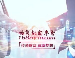 電子商務技術 現(xiàn)代商業(yè)的數(shù)字化引擎