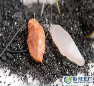 炫要此刻 樓蘭漠玉好運石引領時尚新潮流